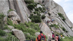 ಶಿವಗಂಗೆ ಬೆಟ್ಟದ ಸಂಪೂರ್ಣ ಮಾಹಿತಿ – ದಕ್ಷಿಣ ಕಾಶಿಯ ಇತಿಹಾಸ, ದೇವಾಲಯಗಳು, ಟ್ರೆಕ್ಕಿಂಗ್ ಮತ್ತು ಪ್ರವಾಸ ಮಾರ್ಗದರ್ಶಿ 4 Screenshot 2026 02 13 100507